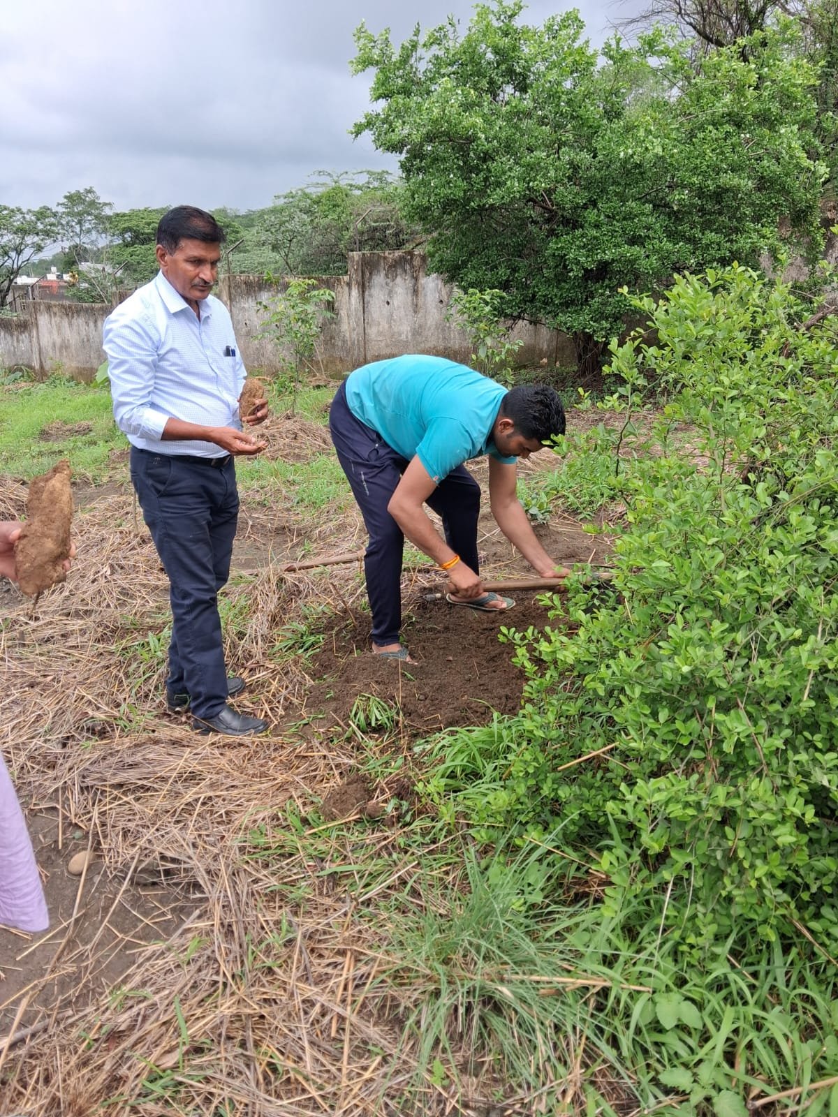 Sujariti Programmes